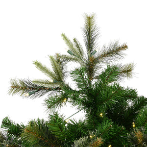 A118281LED Holiday/Christmas/Christmas Trees