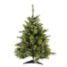 A118230 Holiday/Christmas/Christmas Trees
