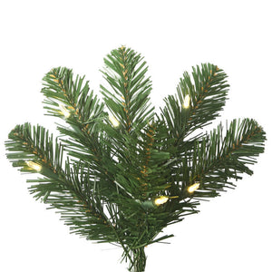 C164076LED Holiday/Christmas/Christmas Trees