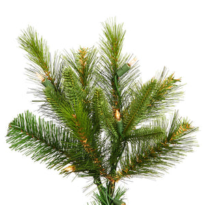 A118231 Holiday/Christmas/Christmas Trees