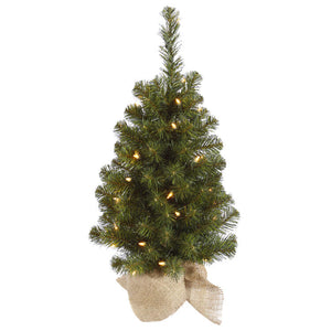 A116030 Holiday/Christmas/Christmas Trees