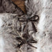 QTX17731 Holiday/Christmas/Christmas Stockings & Tree Skirts