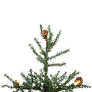 B803922LED Holiday/Christmas/Christmas Trees