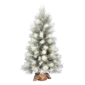 4' Unlit Frosted Norfolk Pine Artificial Christmas Tree with Burlap Base