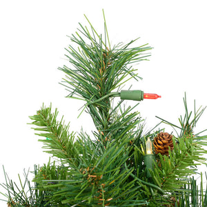 A801002LED Holiday/Christmas/Christmas Trees