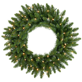 20" Pre-Lit Camden Fir Artificial Christmas Wreath with 50 Clear Lights