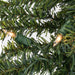 A805161 Holiday/Christmas/Christmas Trees