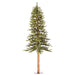 A805161 Holiday/Christmas/Christmas Trees