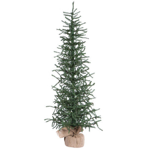 B165040 Holiday/Christmas/Christmas Trees