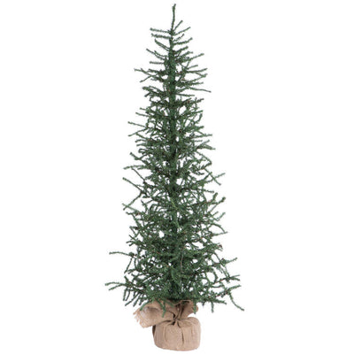 B165040 Holiday/Christmas/Christmas Trees