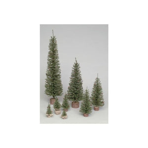 C803948 Holiday/Christmas/Christmas Trees