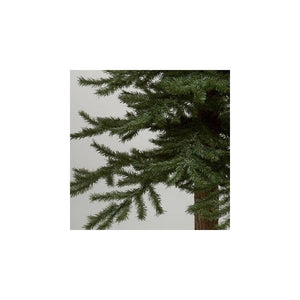 B907305 Holiday/Christmas/Christmas Trees