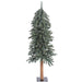 B907305 Holiday/Christmas/Christmas Trees