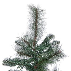 B166436 Holiday/Christmas/Christmas Trees