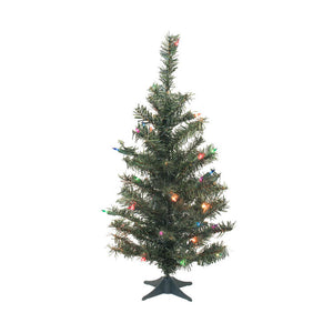 C812877 Holiday/Christmas/Christmas Trees
