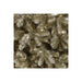 A107755 Holiday/Christmas/Christmas Trees