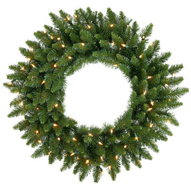 24" Pre-Lit Camden Fir Artificial Christmas Wreath with 50 Multi-Color LED Lights