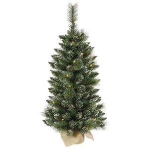 B166437 Holiday/Christmas/Christmas Trees