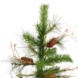 A807550 Holiday/Christmas/Christmas Trees