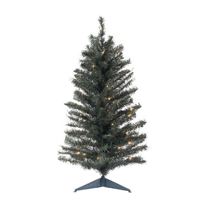 C812878 Holiday/Christmas/Christmas Trees