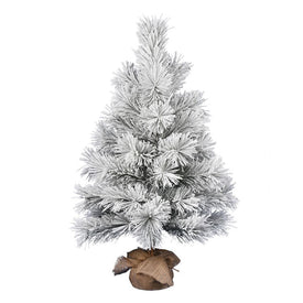 3' Unlit Frosted Beckett Pine Artificial Christmas Tree