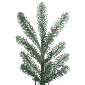 G160475 Holiday/Christmas/Christmas Trees