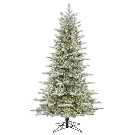 7.5' Pre-Lit Frosted Eastern Frasier Fir Artificial Christmas Tree with Warm White Dura-Lit LED Lights