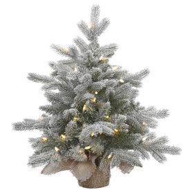 24" Pre-Lit Frosted Sable Pine Artificial Christmas Tree with Warm White Dura-Lit LED Lights