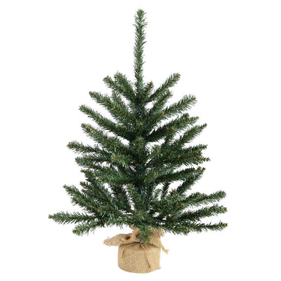 B160424 Holiday/Christmas/Christmas Trees