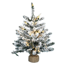 2' Pre-Lit Flocked Anoka Pine Artificial Christmas Tree with Warm White LED Lights