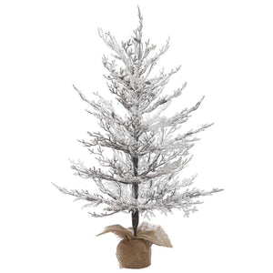 B170530 Holiday/Christmas/Christmas Trees