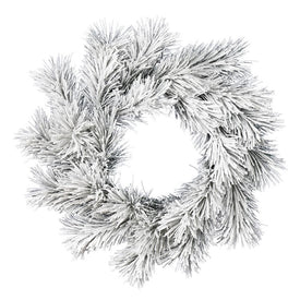 24" Unlit Frosted Beckett Pine Artificial Wreath