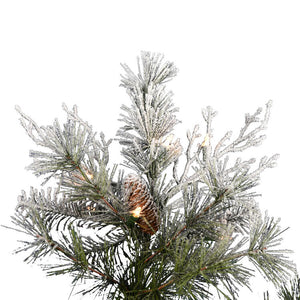 A103046 Holiday/Christmas/Christmas Trees