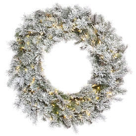 24" Pre-Lit Flocked Kiana Wreath with 150 Warm White Wide-Angle LED Lights