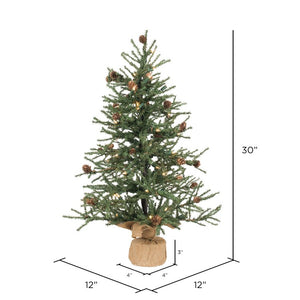 B803924 Holiday/Christmas/Christmas Trees