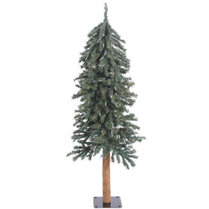 B907340 Holiday/Christmas/Christmas Trees