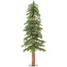 B907340 Holiday/Christmas/Christmas Trees