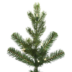 G170181 Holiday/Christmas/Christmas Trees