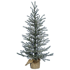 2' Pre-Lit Frosted Angel Pine Artificial Christmas Tree with Warm White Dura-Lit LED Lights