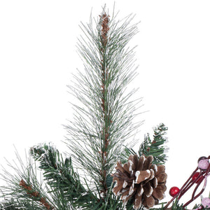 B166224 Holiday/Christmas/Christmas Trees