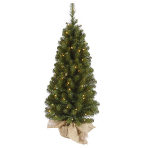 A116037 Holiday/Christmas/Christmas Trees
