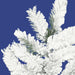 A806303-2 Holiday/Christmas/Christmas Indoor Decor