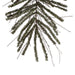 B167650 Holiday/Christmas/Christmas Trees