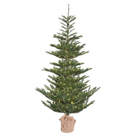 4' Pre-Lit Alberta Spruce Artificial Christmas Tree with Burlap Base and Warm White Dura-Lit LED Lights