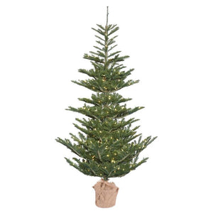 G160241LED Holiday/Christmas/Christmas Trees