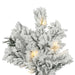 A806366LED Holiday/Christmas/Christmas Trees