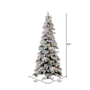 A146872LED Holiday/Christmas/Christmas Trees