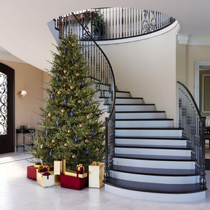 A110365 Holiday/Christmas/Christmas Trees
