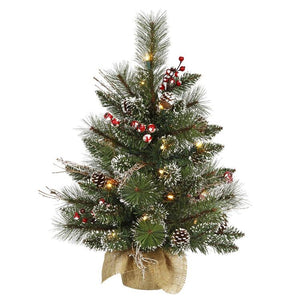 B166225 Holiday/Christmas/Christmas Trees