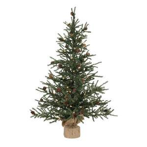 B803926 Holiday/Christmas/Christmas Trees